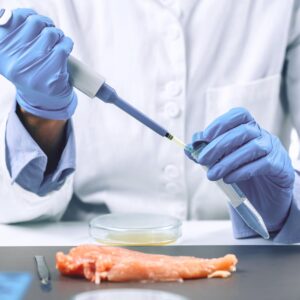 Salmonella
